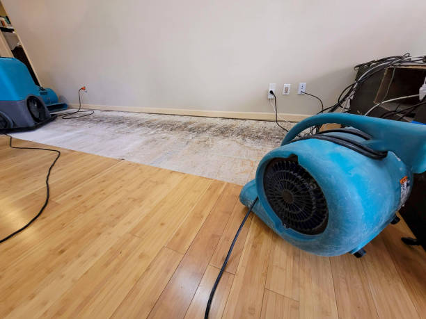 Professional Ceiling Water Damage Repair technician working in Staples, MN