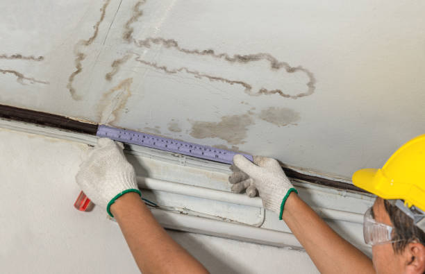 Affordable Ceiling Water Damage Repair solutions in Staples, MN